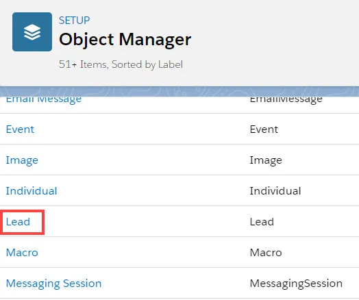 Object Manager - Lead - Salesforce Workflow Rule