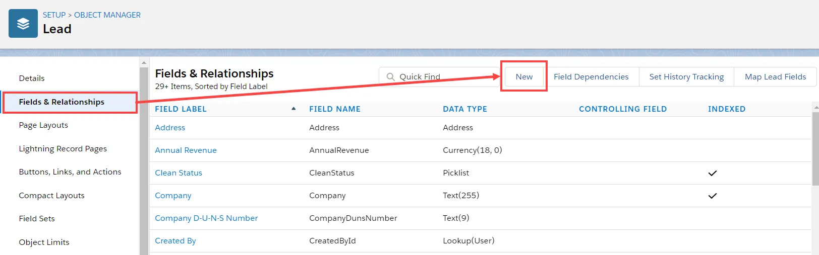 Lead - Salesforce Update Field